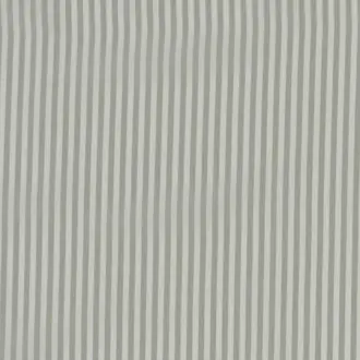 Pinstripe 31673-01