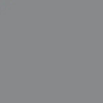 Double Empire Grey Paint