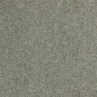 Shagreen 312907