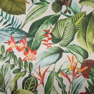 Tropical 26740