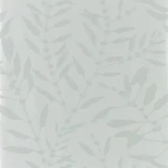 Chaconia Shimmer 111658