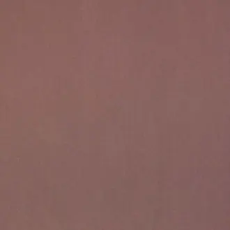 Guru 12