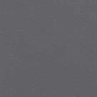 Shagreen Shark