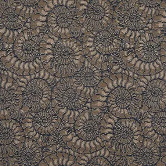 Ammonite 3233-04