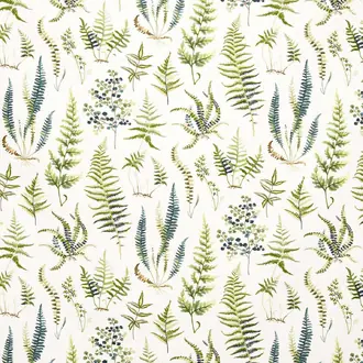 Bracken 23