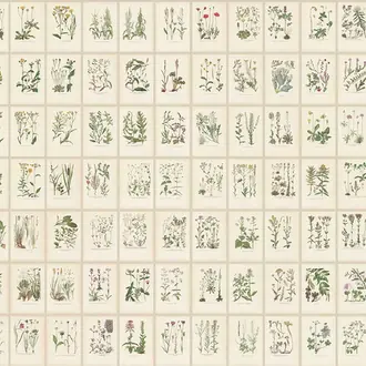 Botanica S10508