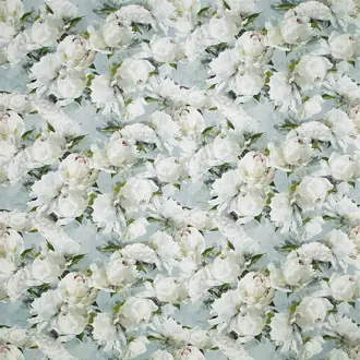 Peonia Lino FDG2912-01