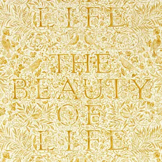 The Beauty of Life 217191