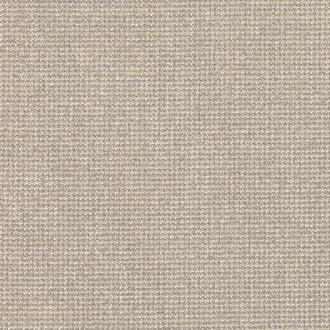 Curio Ash K5189-01
