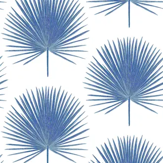 Palm Fronds