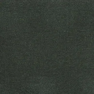 Fantasia 31911655
