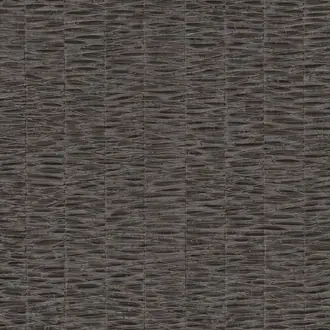 Nutmeg W7351-01