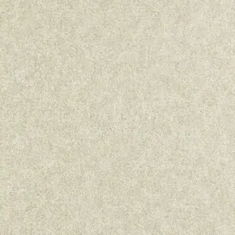 Shagreen 312908