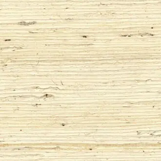 Grasscloth RM-1083-01