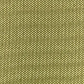 Net Olive