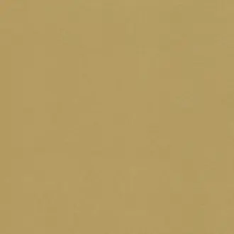 Atlantis Gold V3078-51