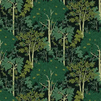 Amazone OLI203