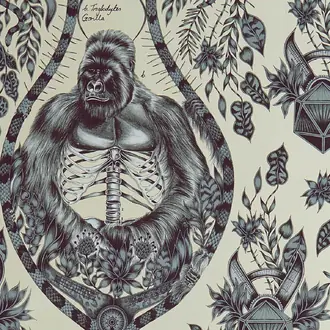 Silverback W0120-02