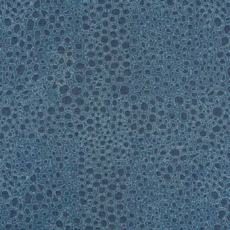 Wild Complexions JT014022-006
