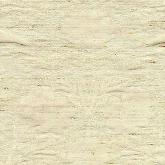 Vintage Beige