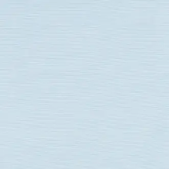 Accent 6839-0021