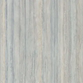 Plica 111843
