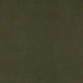Guru 13