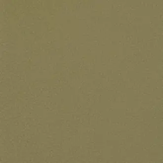 Shagreen Pistachio