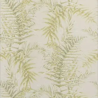 Royal Fern JT021086-001