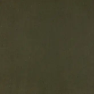 Guru 13