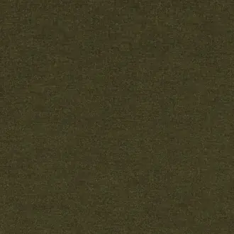 Fantasia 31911758