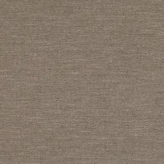 Lines Bicuit K5206-01