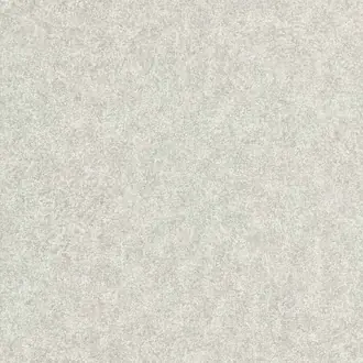 Shagreen 312909