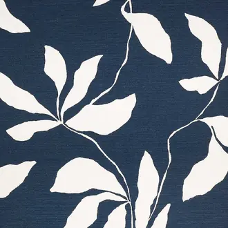 Desert Ivy 40206