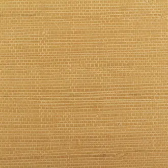Island Weaves MR-TY-2102