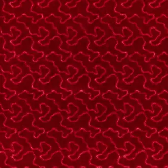 Marlowe Velvet 2025126-19