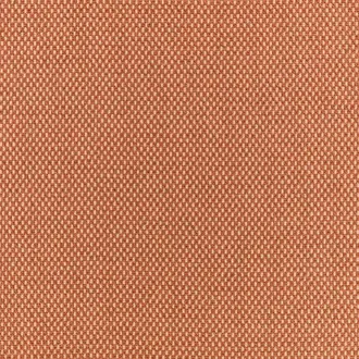 Net Pink Apricot