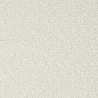 Chinese Daisy WR1004-01