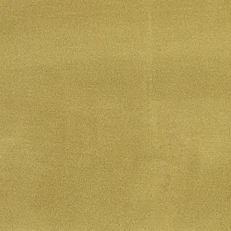 Sahara FDG2165-10