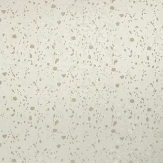 Anthracite Sandstone