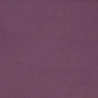 Alpha 16 Plum