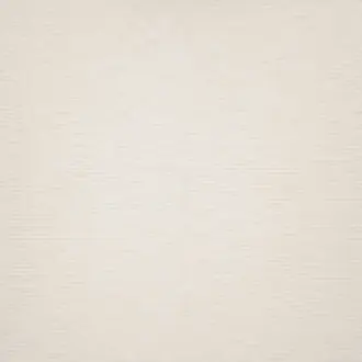 Lace FR 10671990