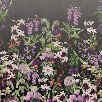 Alice'S Garden R17163