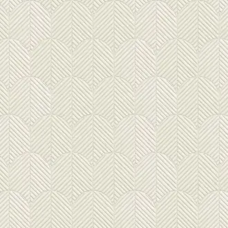 Anicca 72520