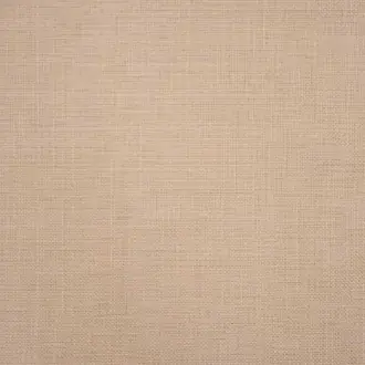 Raffia Weave JT013920-010
