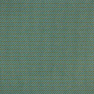 Horizon Kiwi