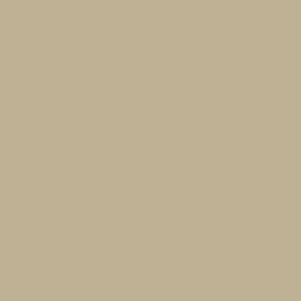 Double Pebble Paint