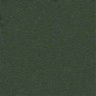 Esala Plains 133217