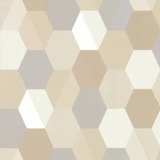 Hexagon SPA 10010 10 19