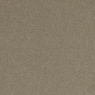 Highlander F0848-19